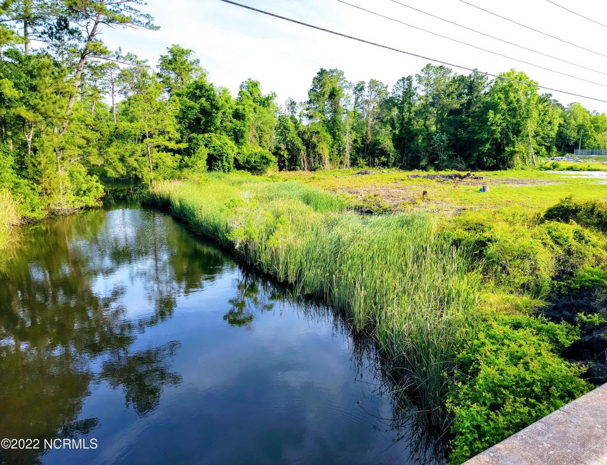223 Bear Creek Road - Photo 1