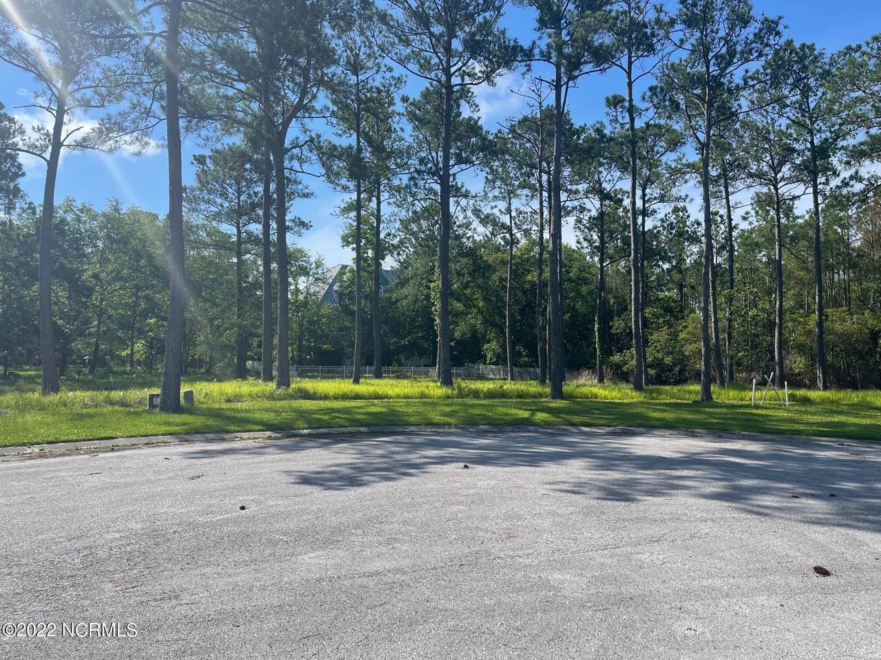 3393 Turnbuckle Lane - Photo 1