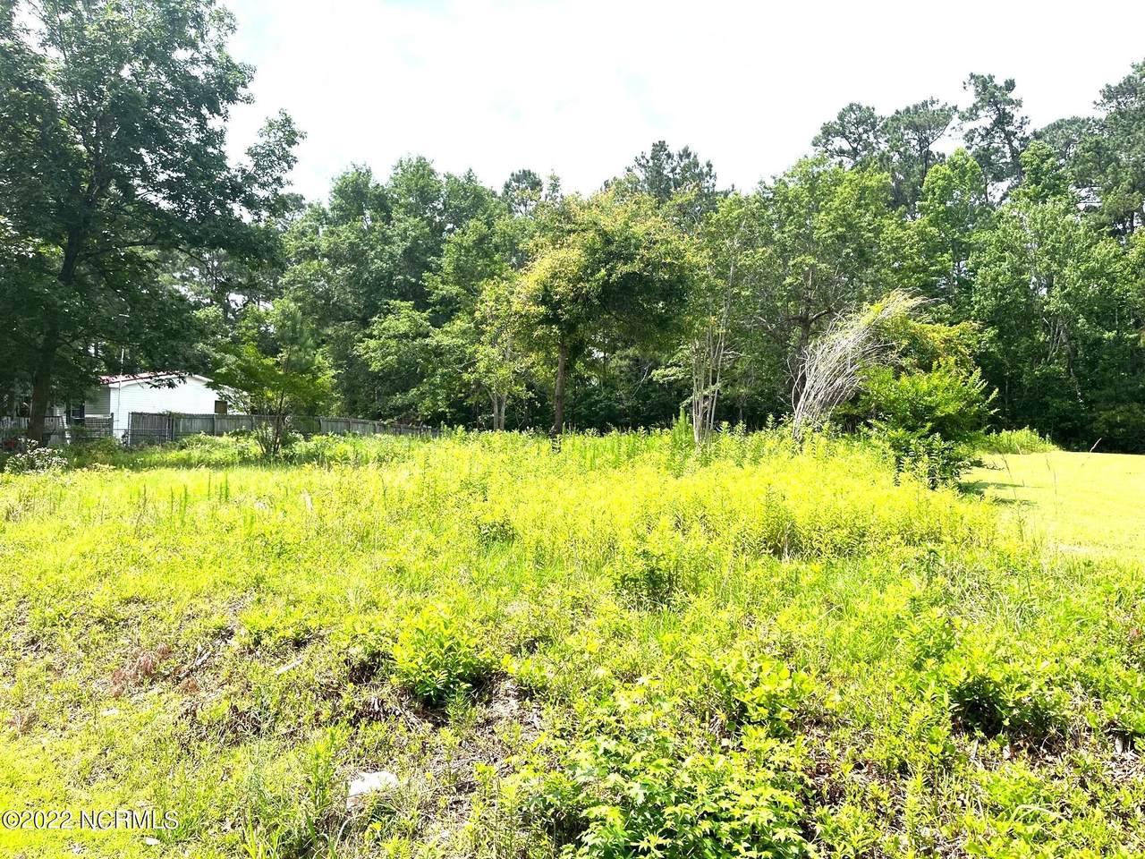 1155 Wilma Avenue - Photo 1