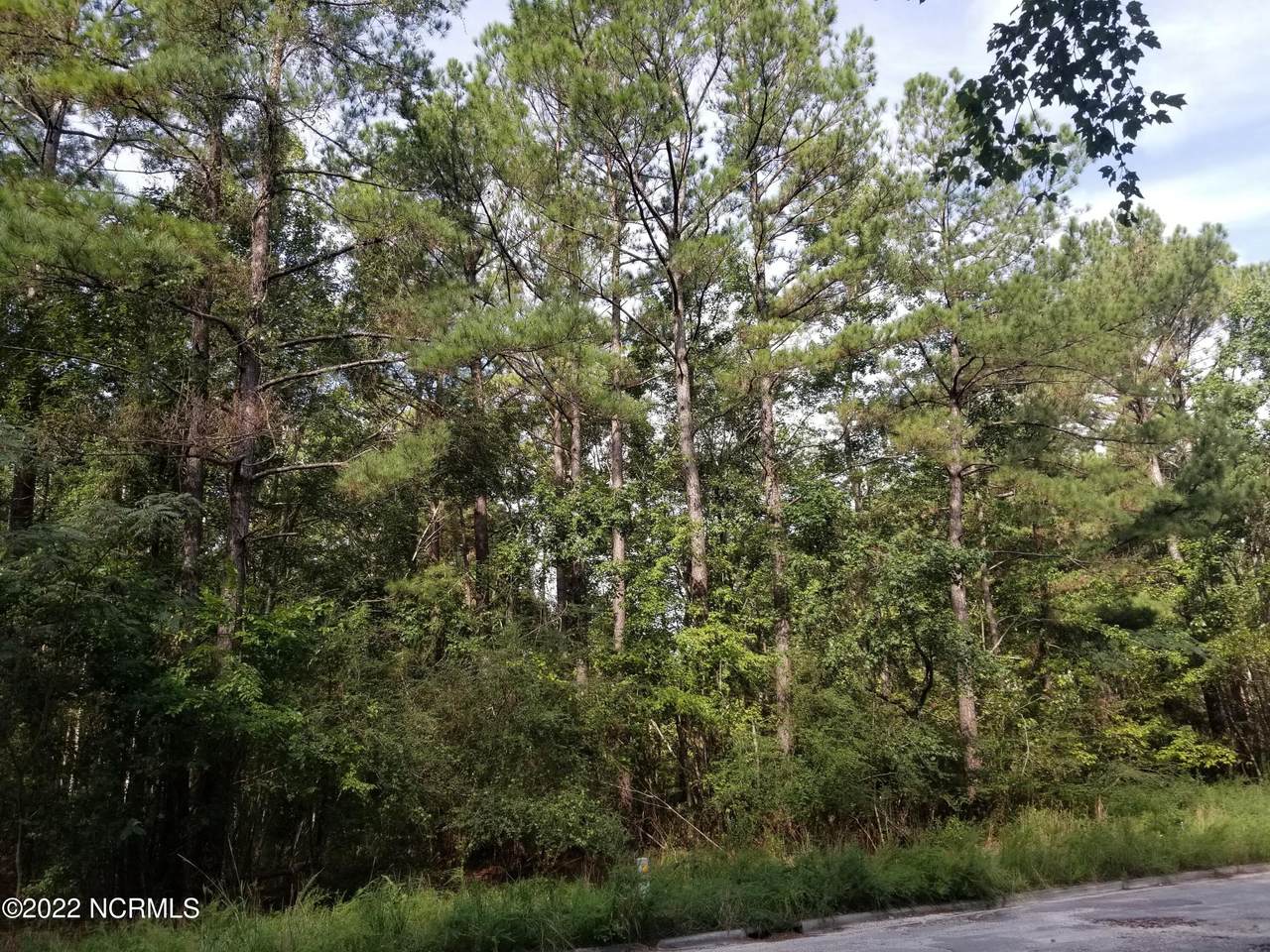 628 Walnut Drive - Photo 1
