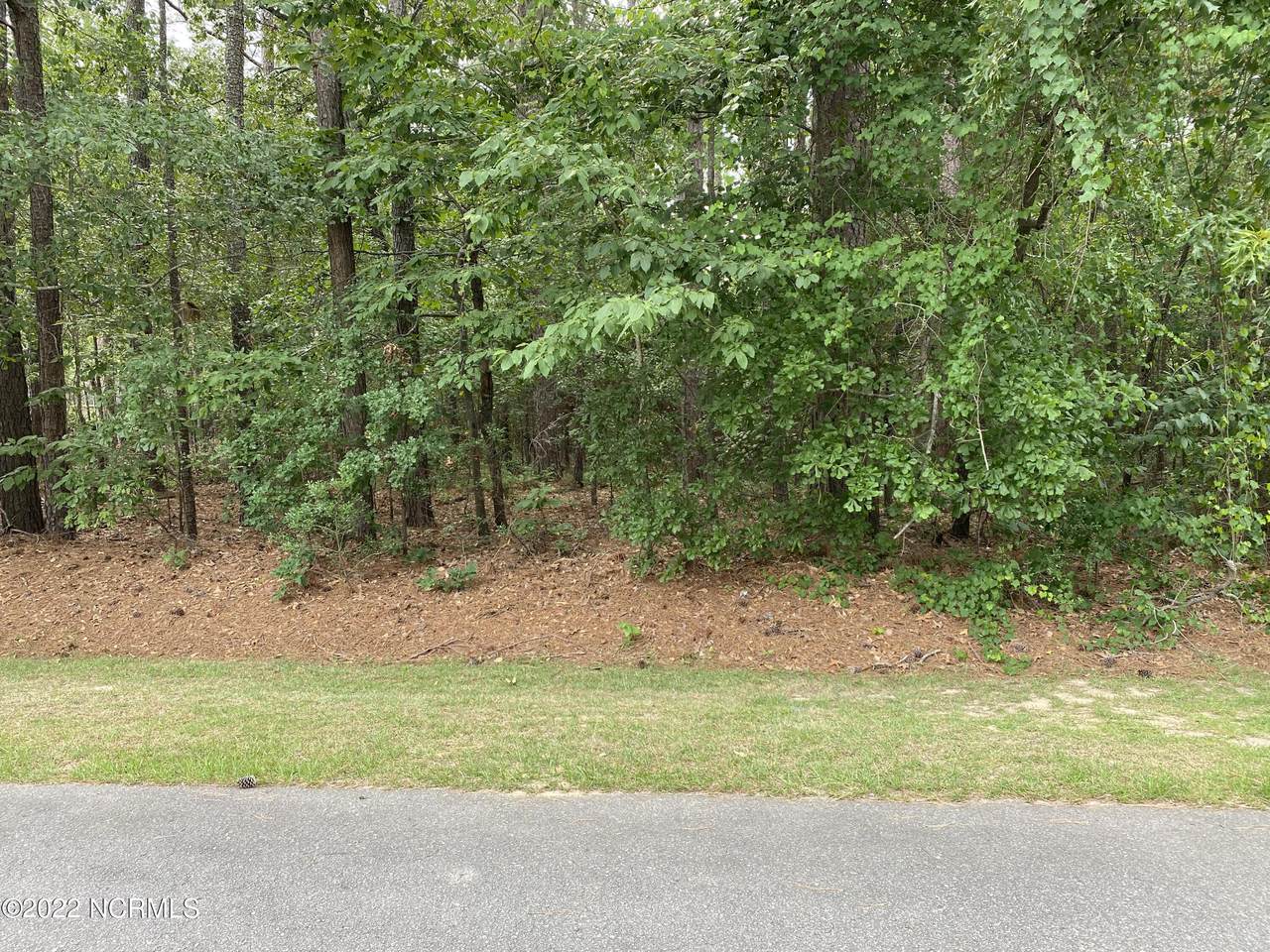 000d Earl Road - Photo 1