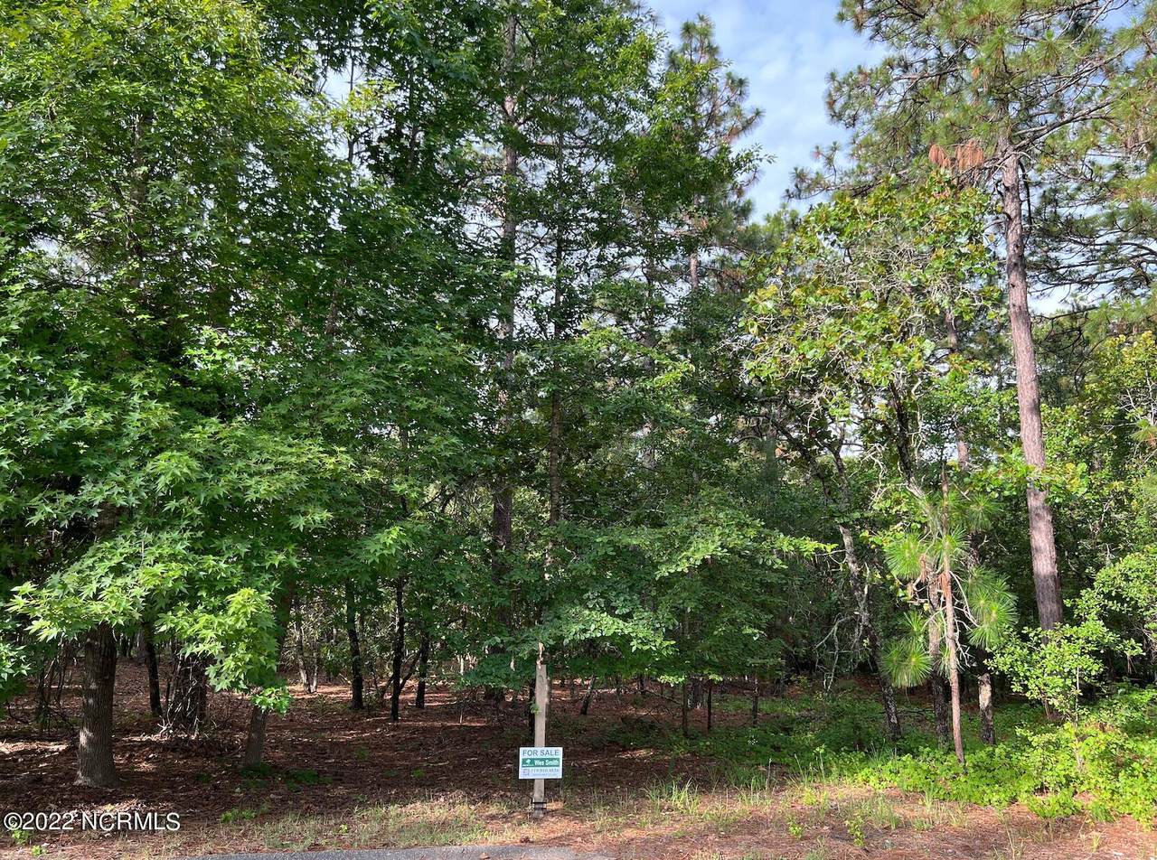 304 Lazar Lane - Photo 1