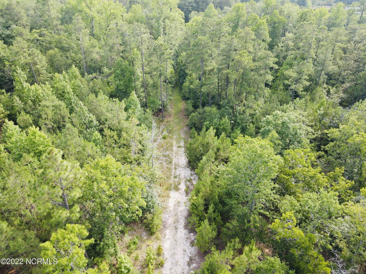 Tbd Ledbetter Lot 2 Road - Photo 1