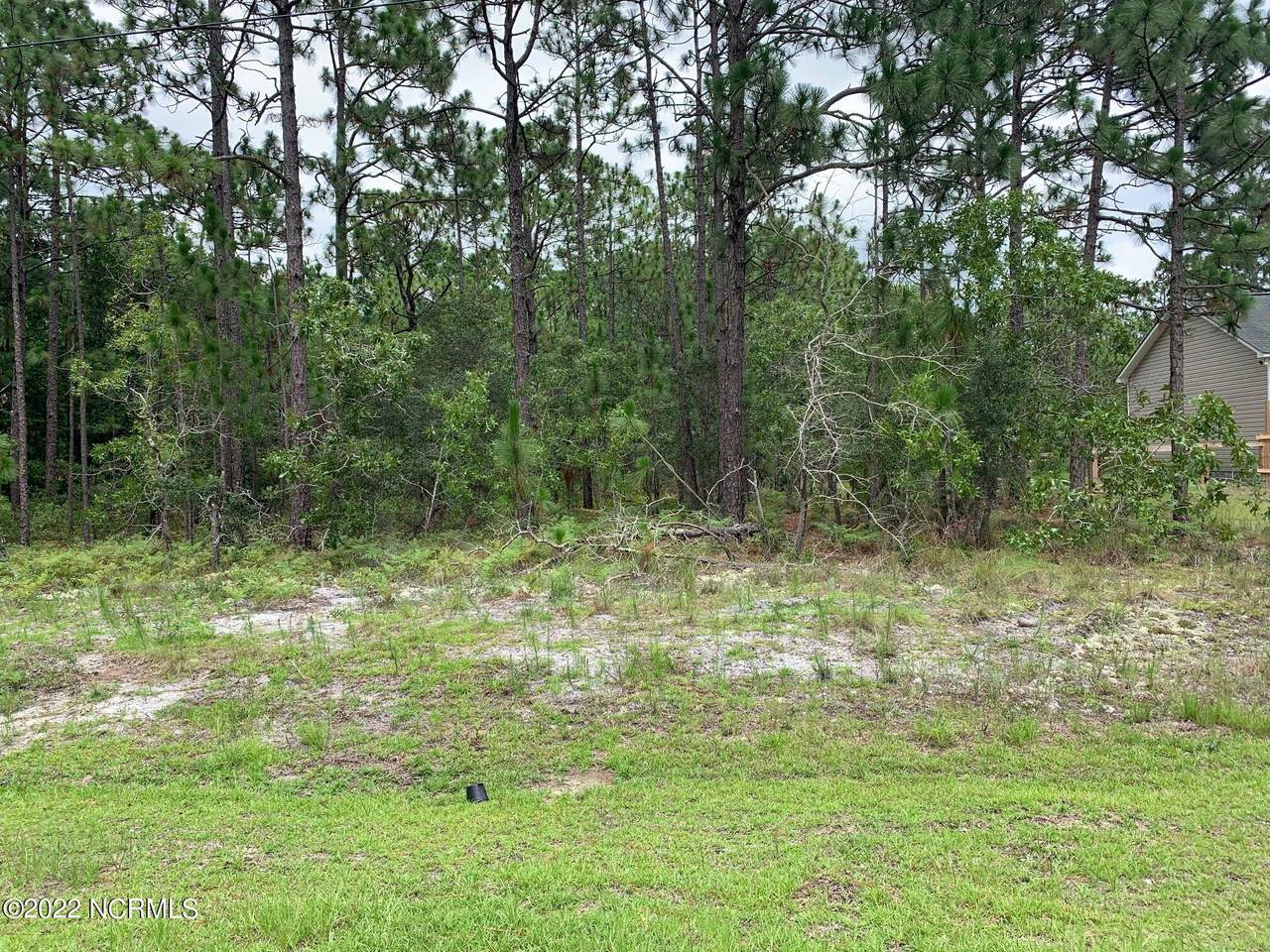 1141&1149 Buchanan Road - Photo 1