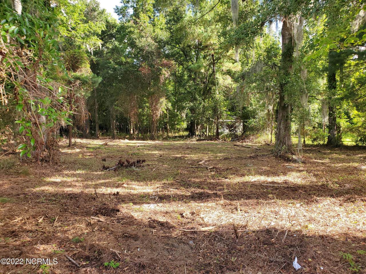 1727 Hargett Street - Photo 1