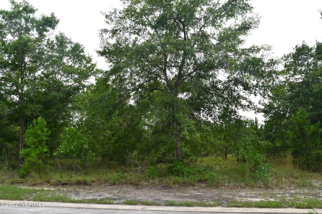 3133 Burberry Lane - Photo 1