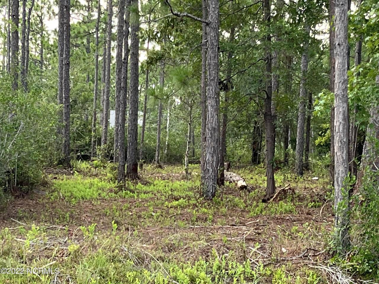9 Boiling Spring Lakes - Photo 1