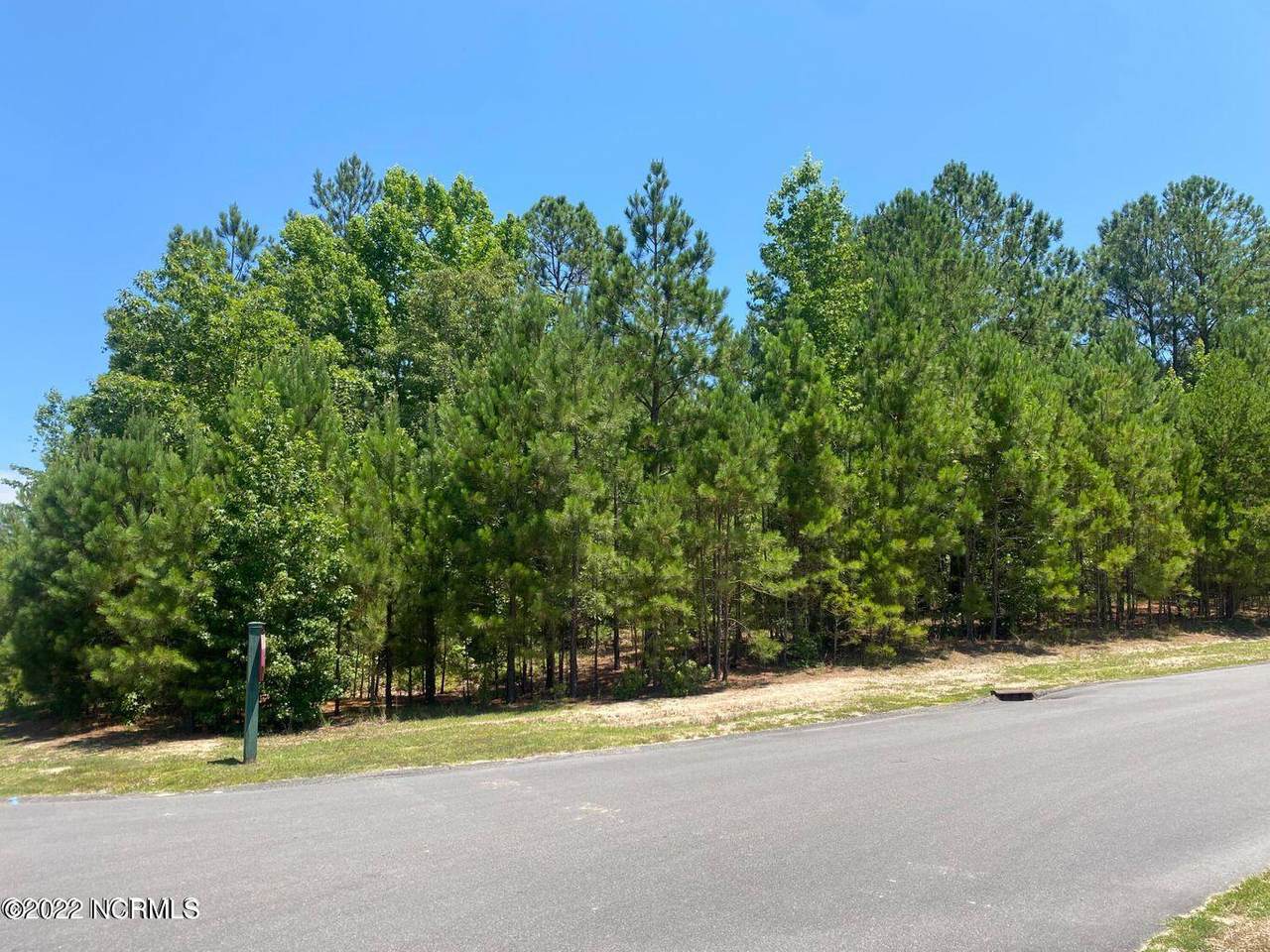198 Trailcrest Drive - Photo 1
