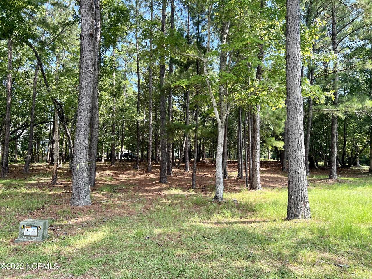 465 Autumn Chase - Photo 1
