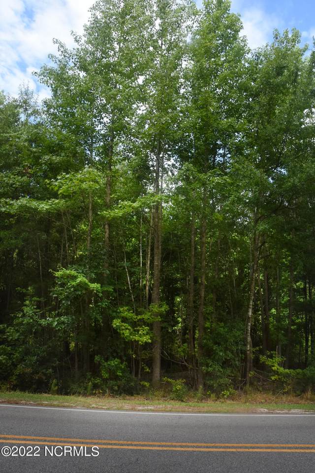 Tbd Rays Bridge Road - Photo 1