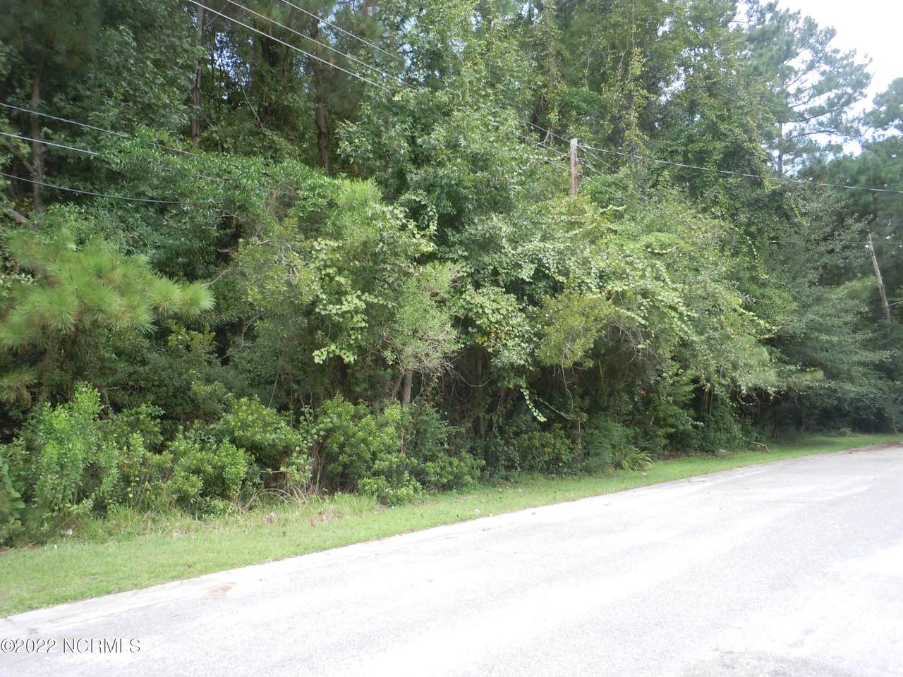 Tbd Near 105 Pine Street - Photo 1
