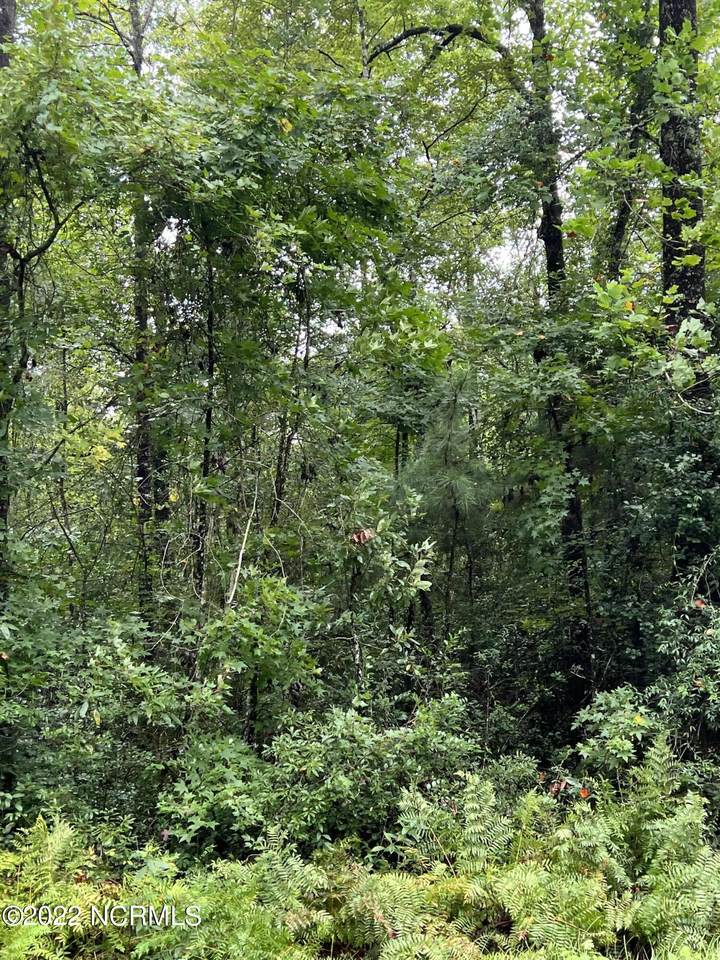 #25 Near 652 Singletary Road - Photo 1