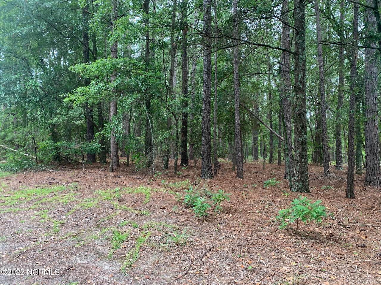 000 Dundee Drive - Photo 1