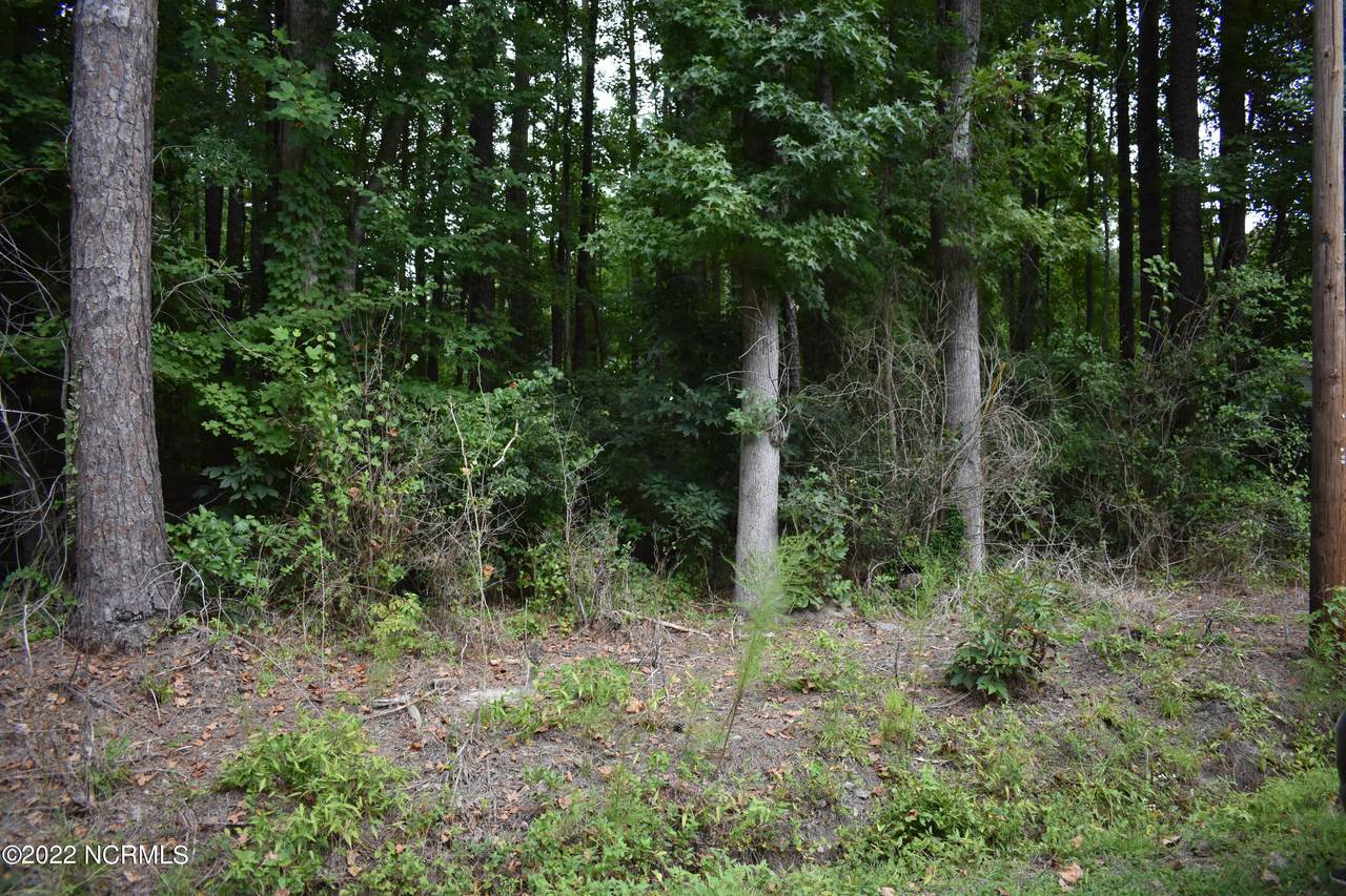 Lot 42 Oak Drive - Photo 1