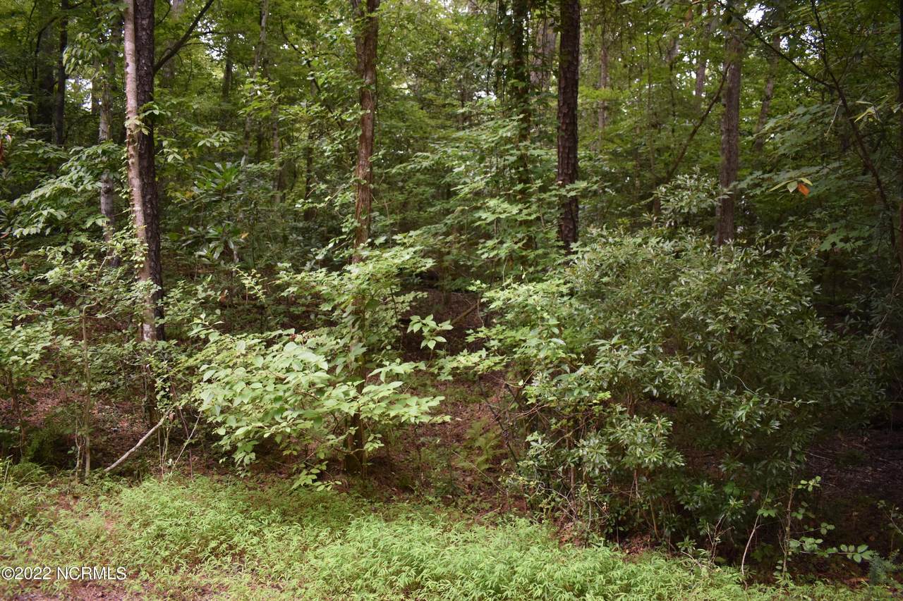 Lot 2 Fawn Circle - Photo 1