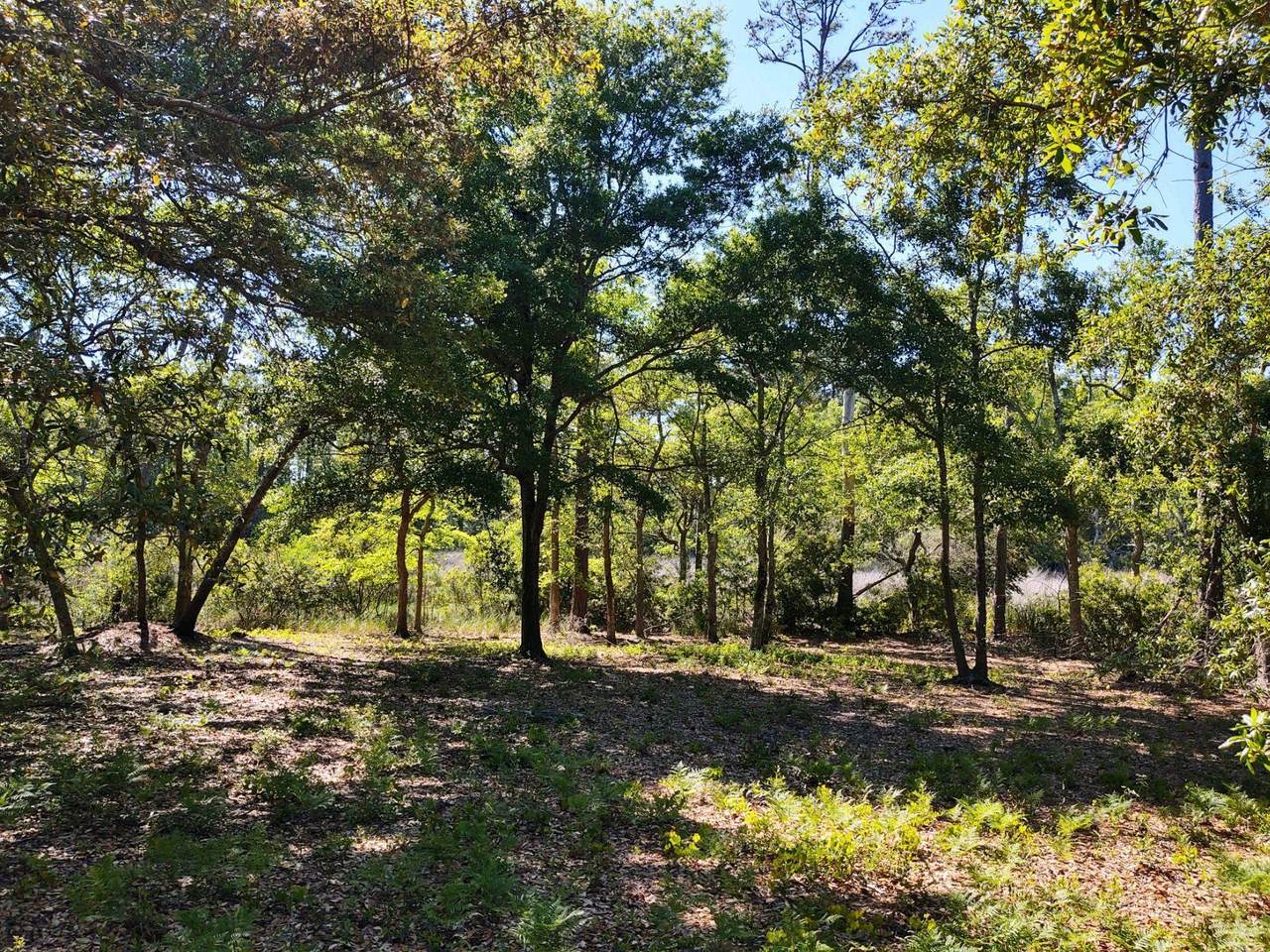 754 Skipjack Circle - Photo 1