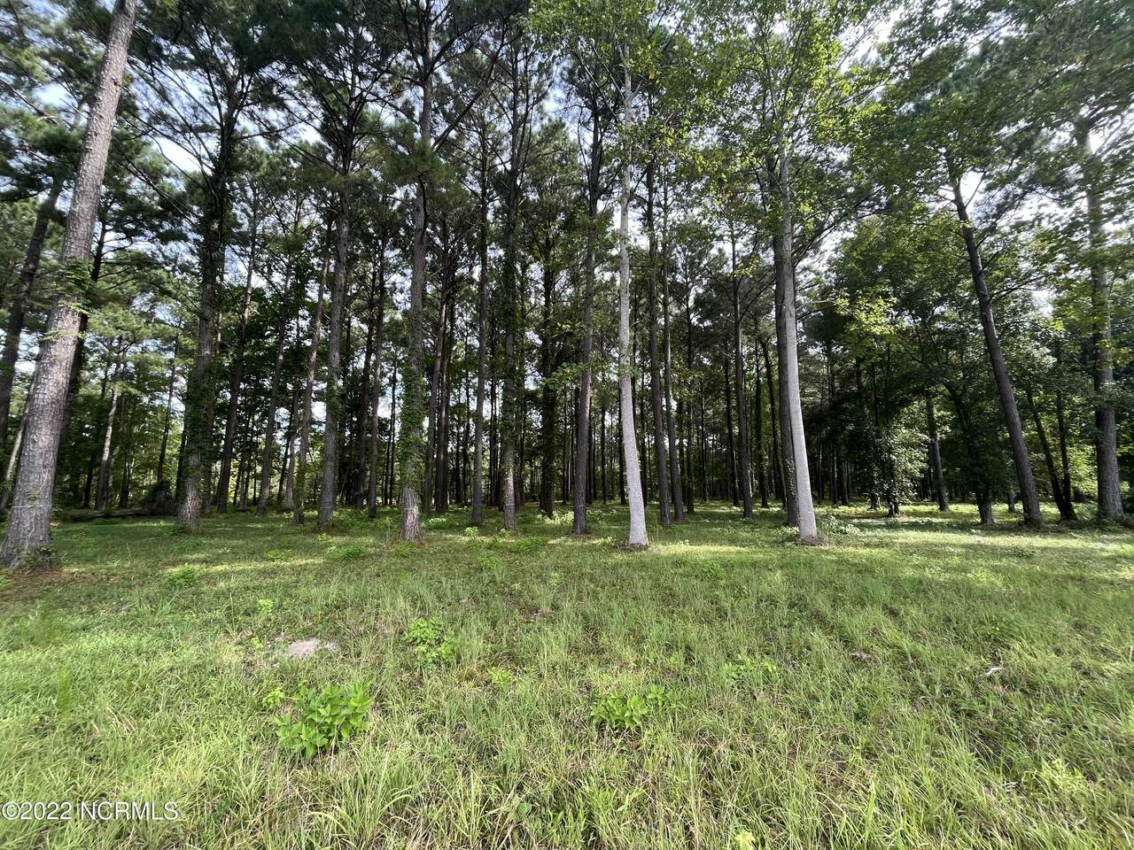 160 Southern Plantation Drive - Photo 1