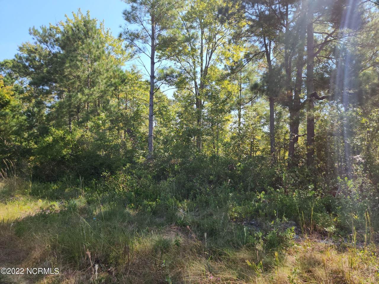 2 Acres Valentine Way - Photo 1