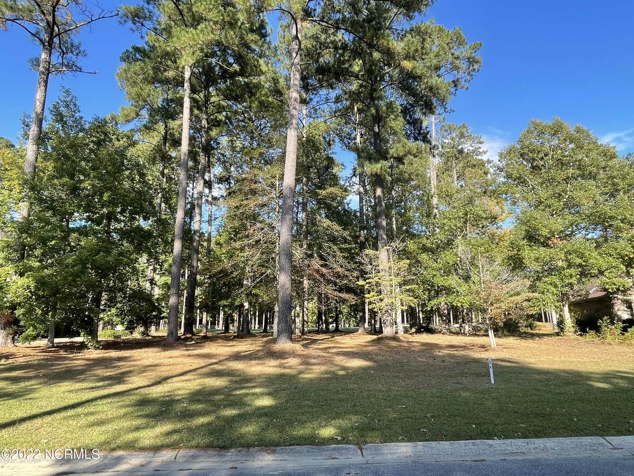 209 Ashley Lane - Photo 1