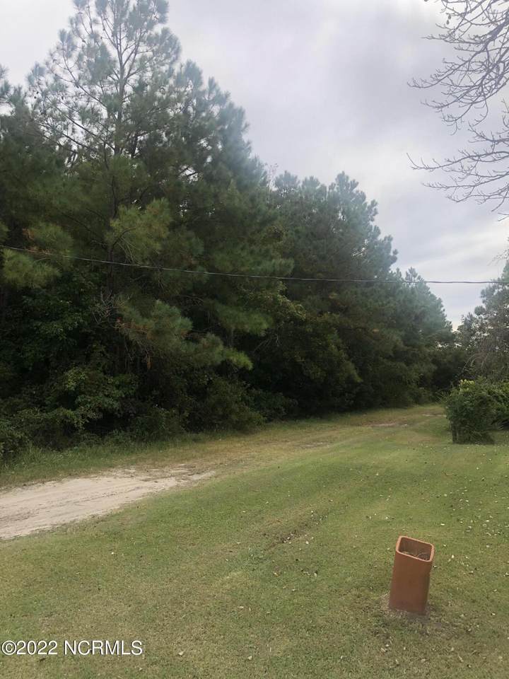 115 Guy Willis Lane - Photo 1