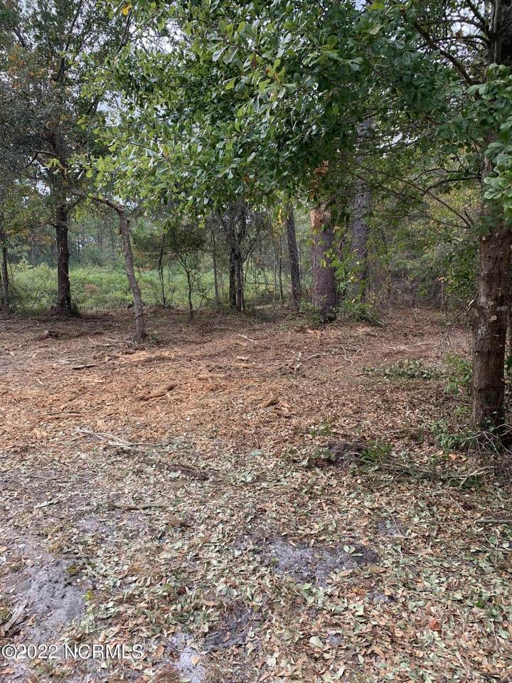 L-56 Carolina Road - Photo 1