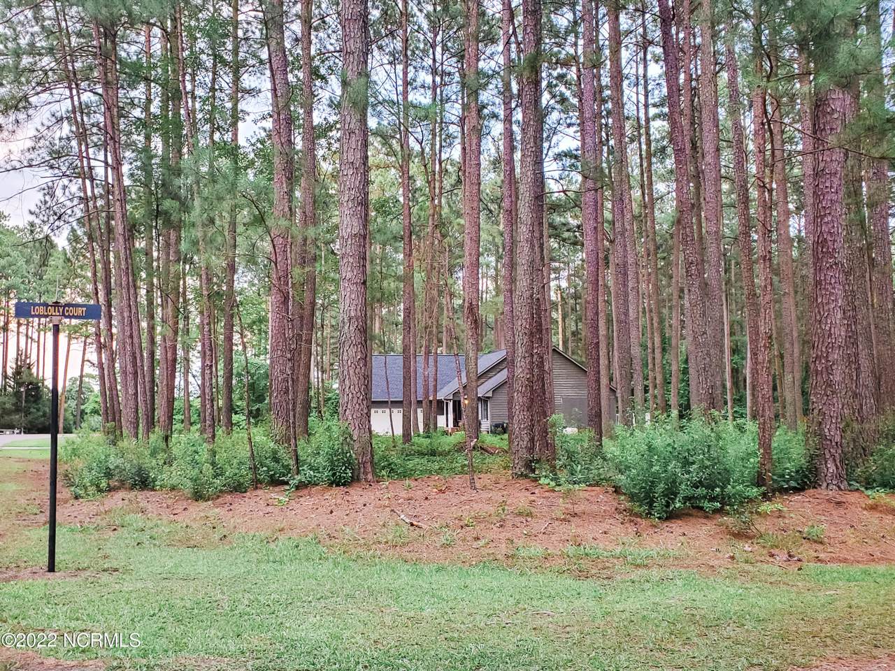 Lot 20 Loblolly Court - Photo 1