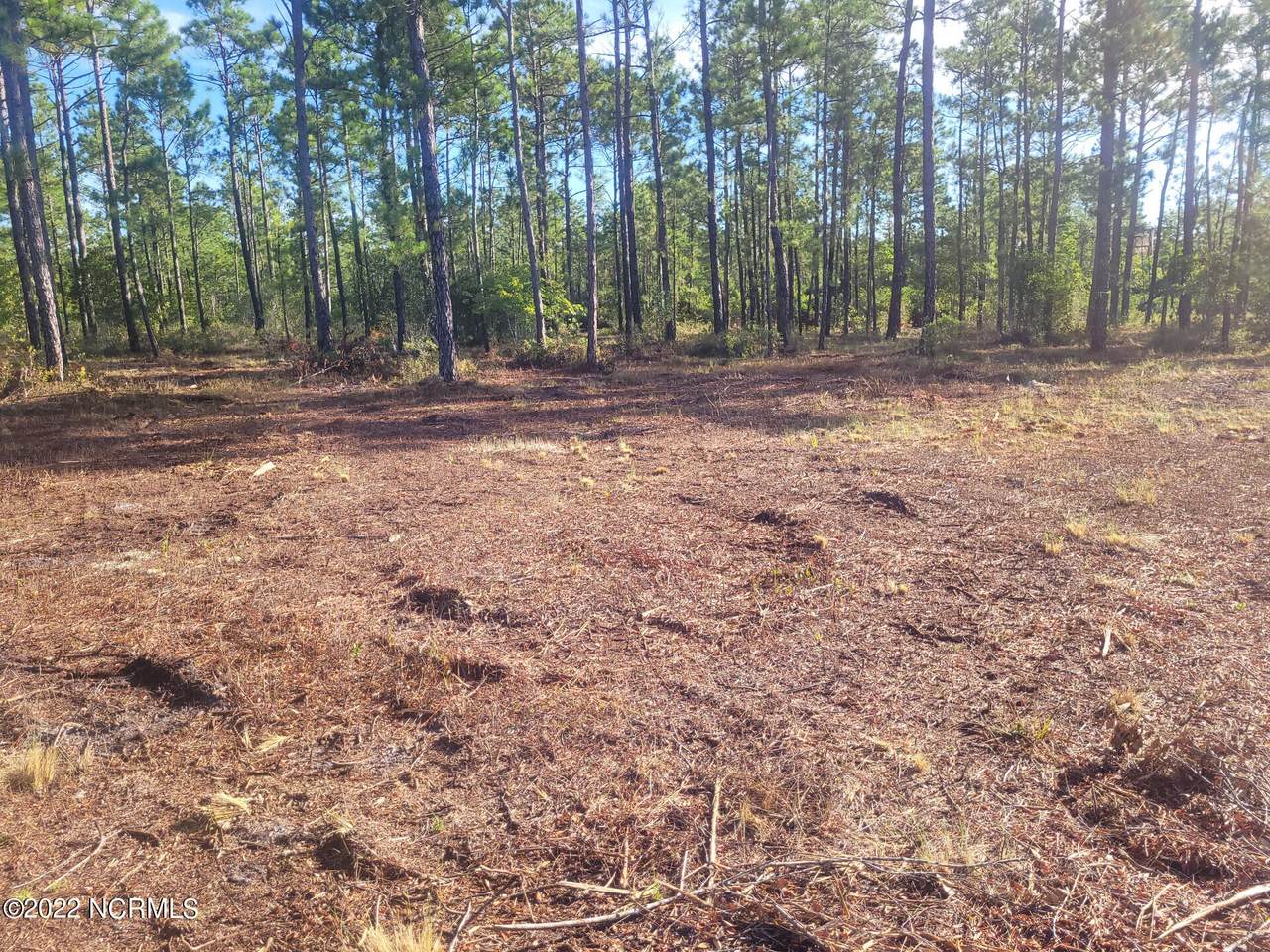 326 Tomahawk Road - Photo 1