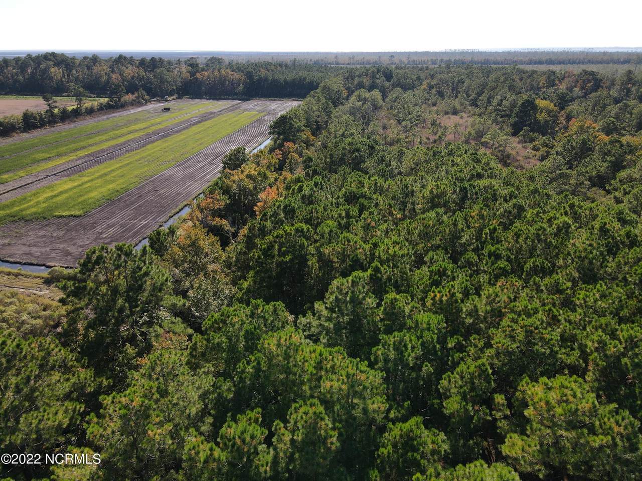 Tbd Hwy 264- Nc 45 - Photo 1