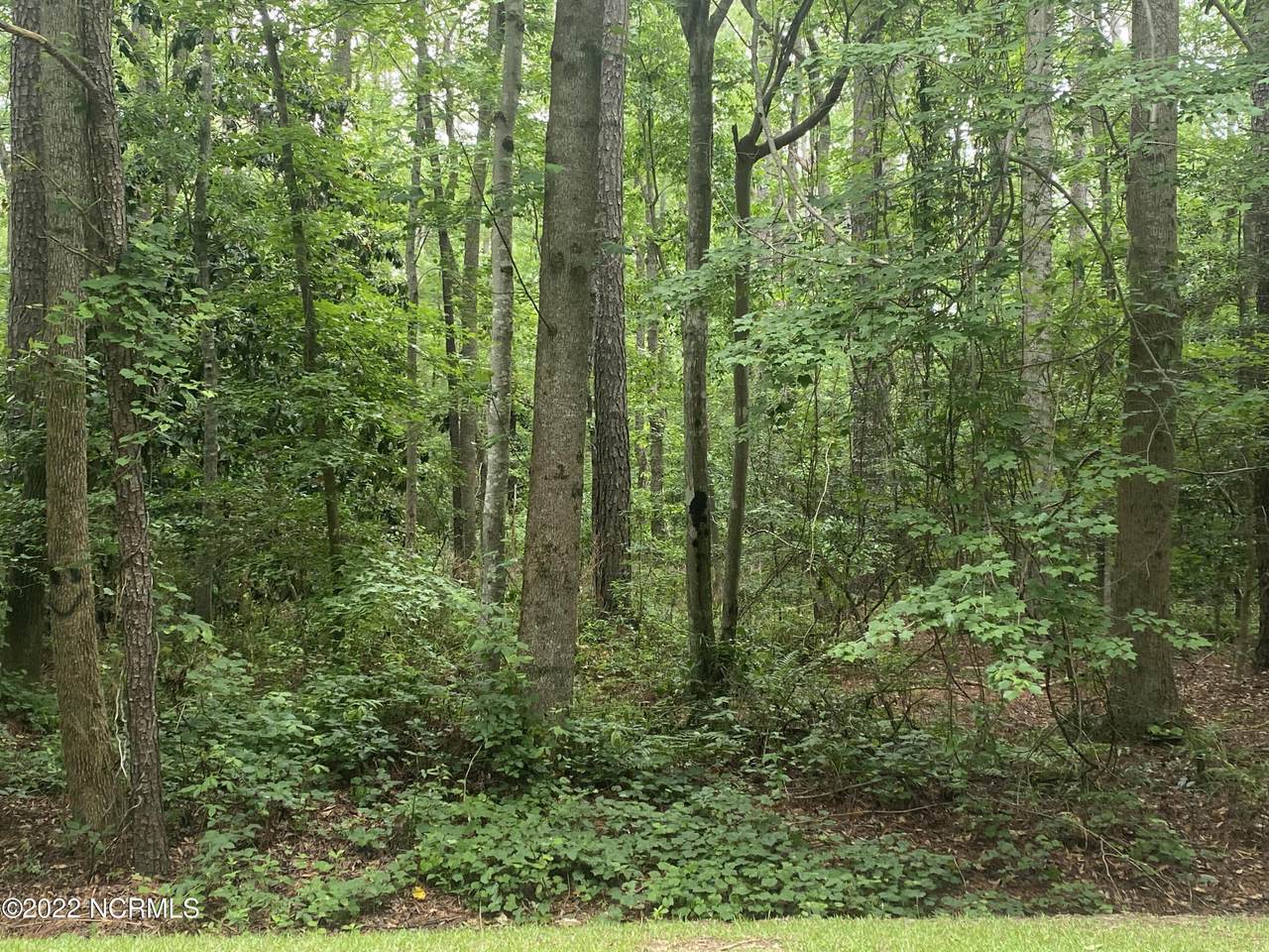 1051 Greenbriar Drive - Photo 1