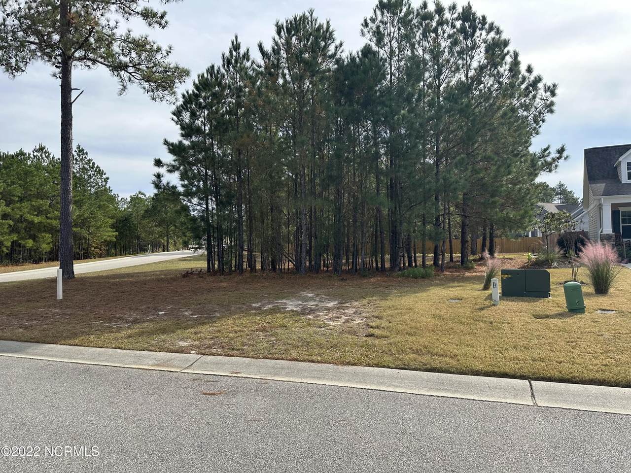 9598 Fallen Pear Lane - Photo 1