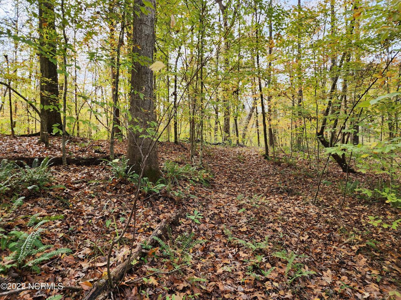 164 Forest Glen Lane - Photo 1