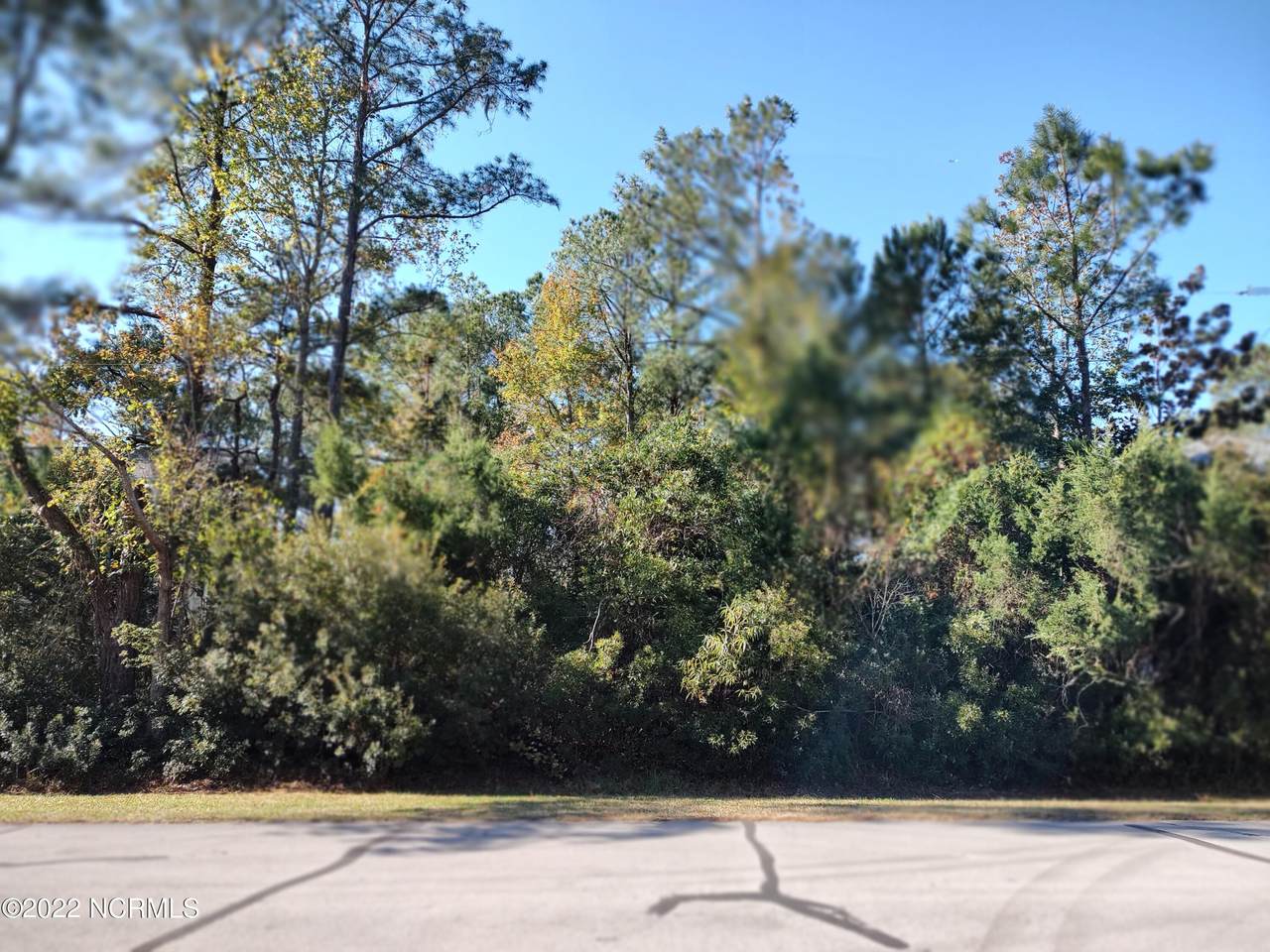 5208 Bucco Reef Road - Photo 1