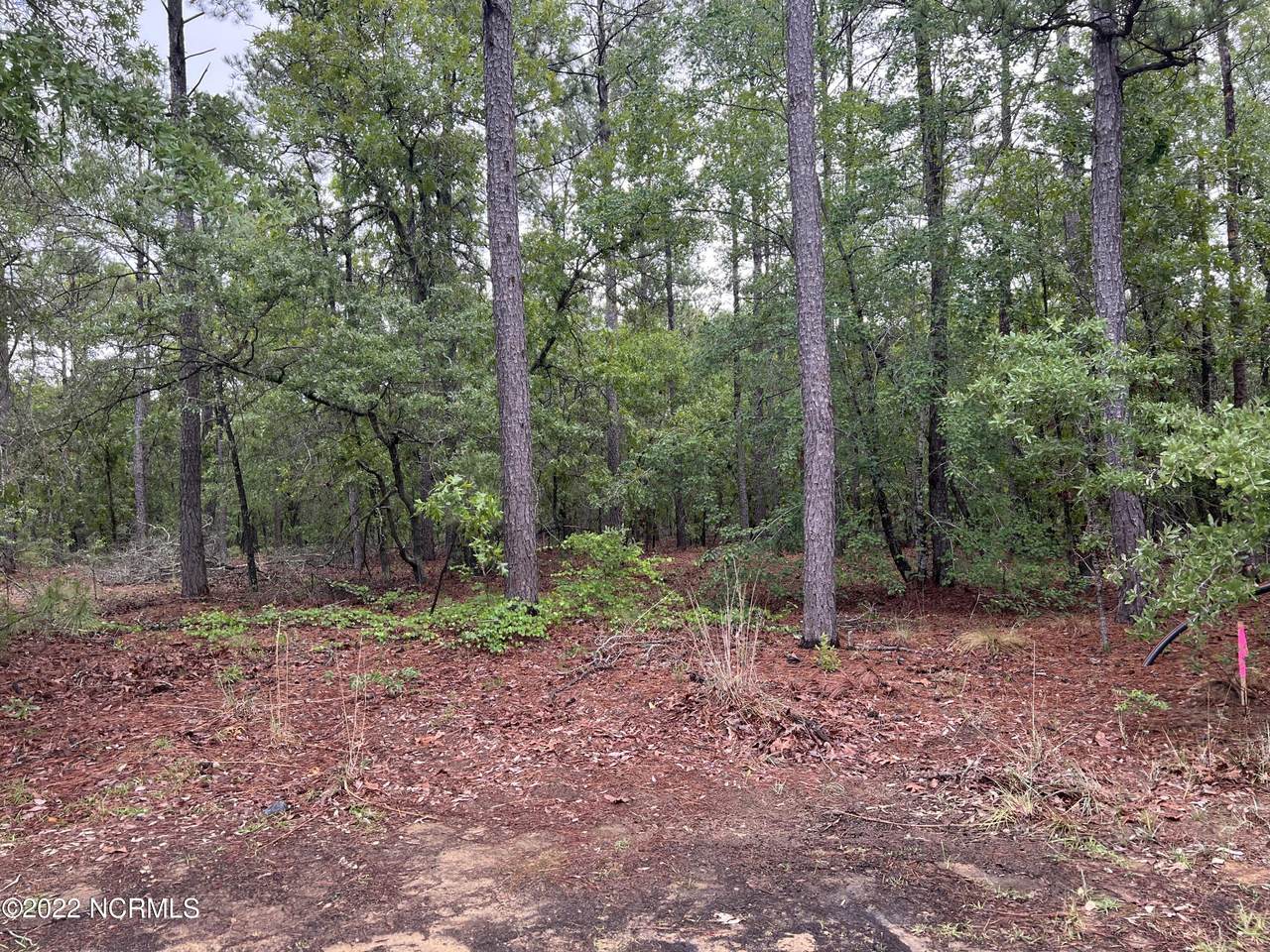 Lot #4 Blue Water Court - Photo 1