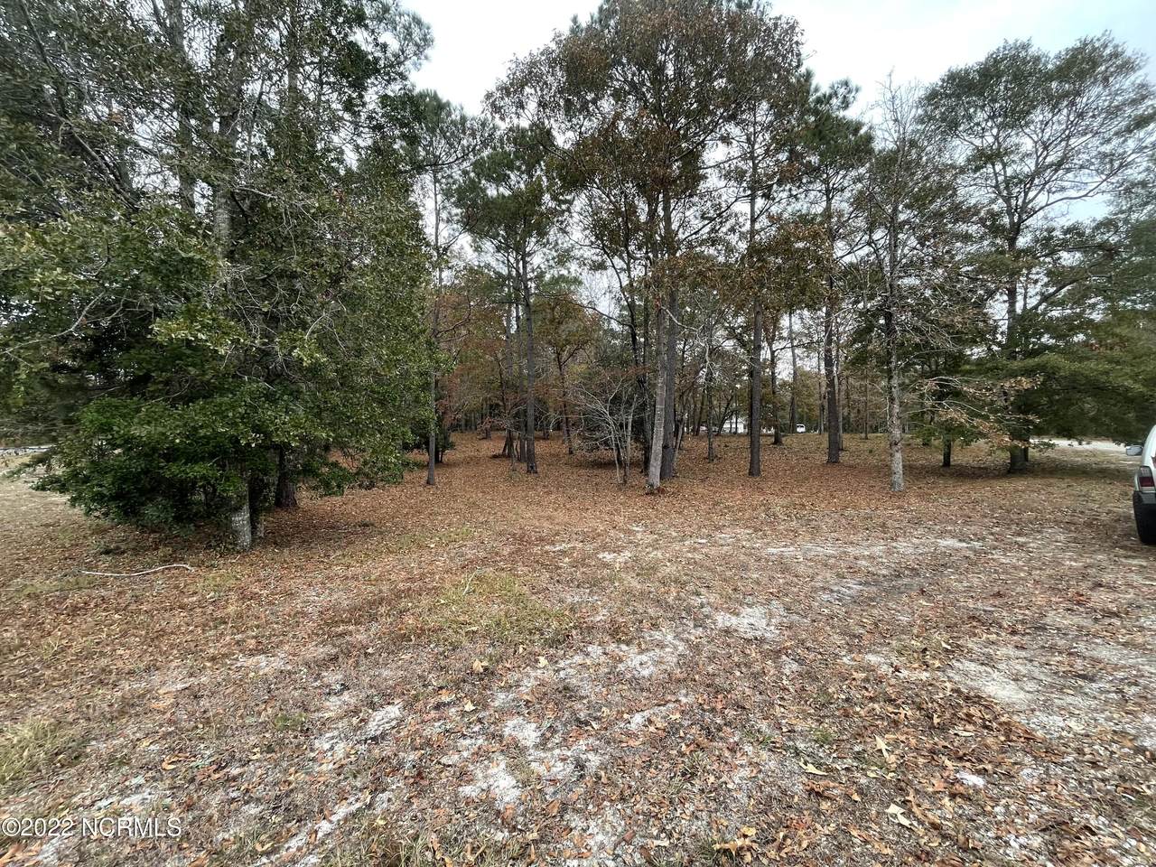 1052 Deer Pant Trail - Photo 1