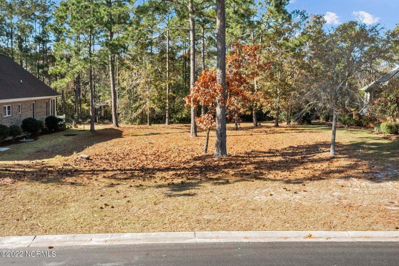 356 Broad Leaf Lane - Photo 1