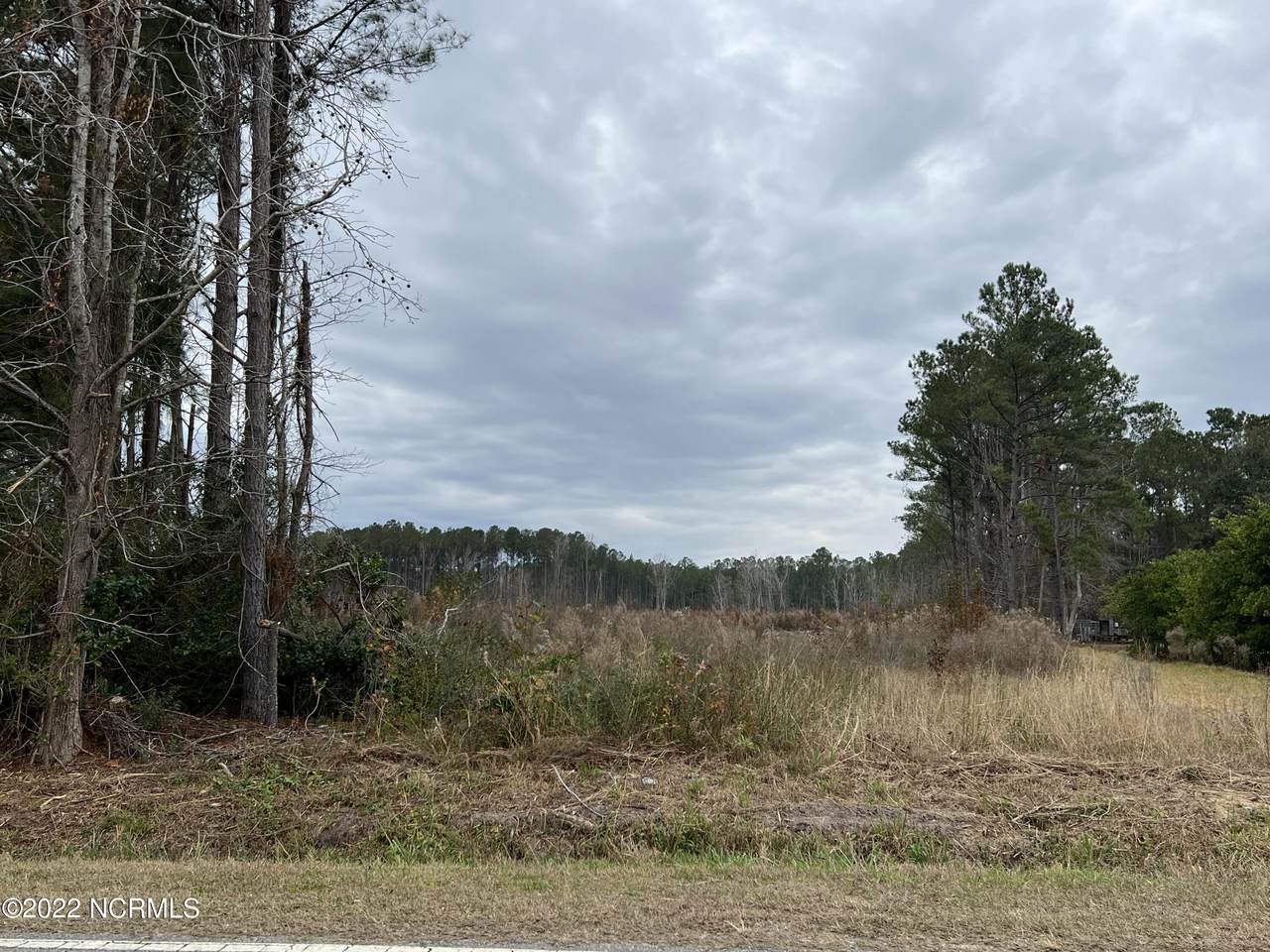 600h Ash Little River Road - Photo 1
