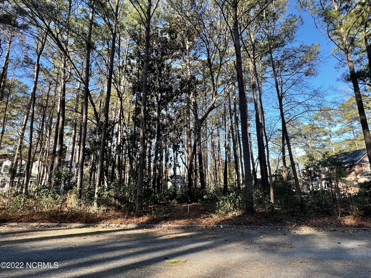 0 Marion Drive - Photo 1
