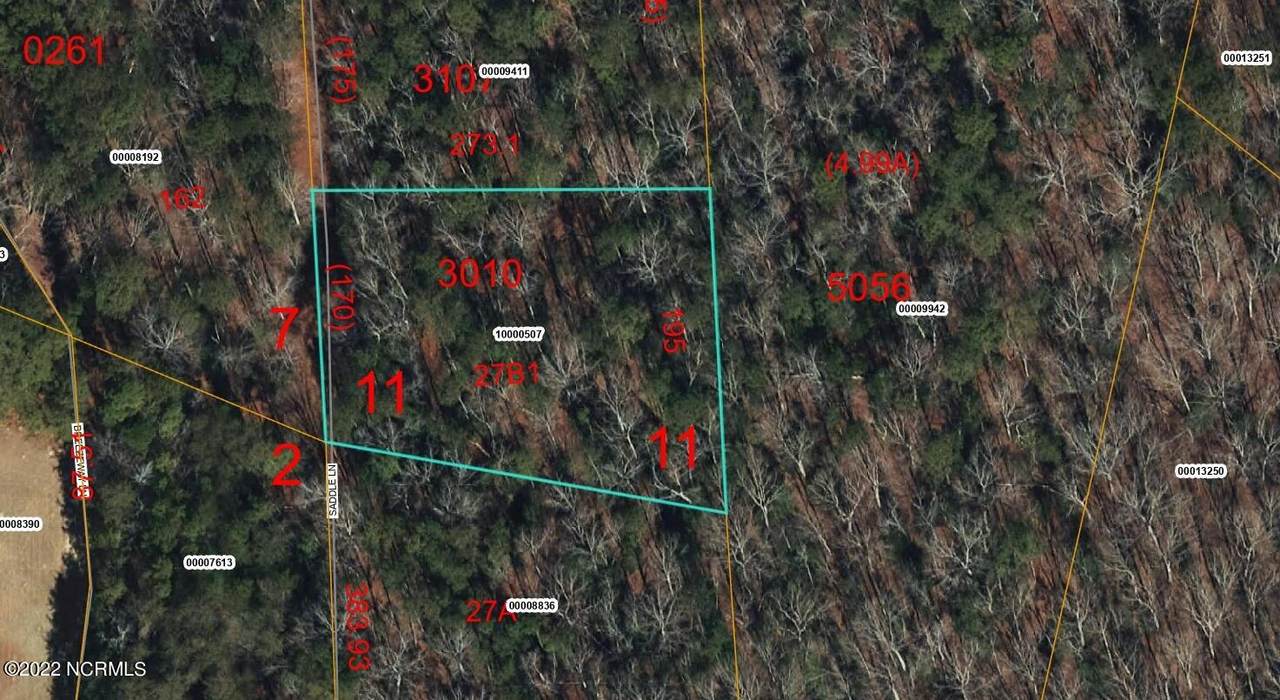 Tbd Saddle Lane - Photo 1