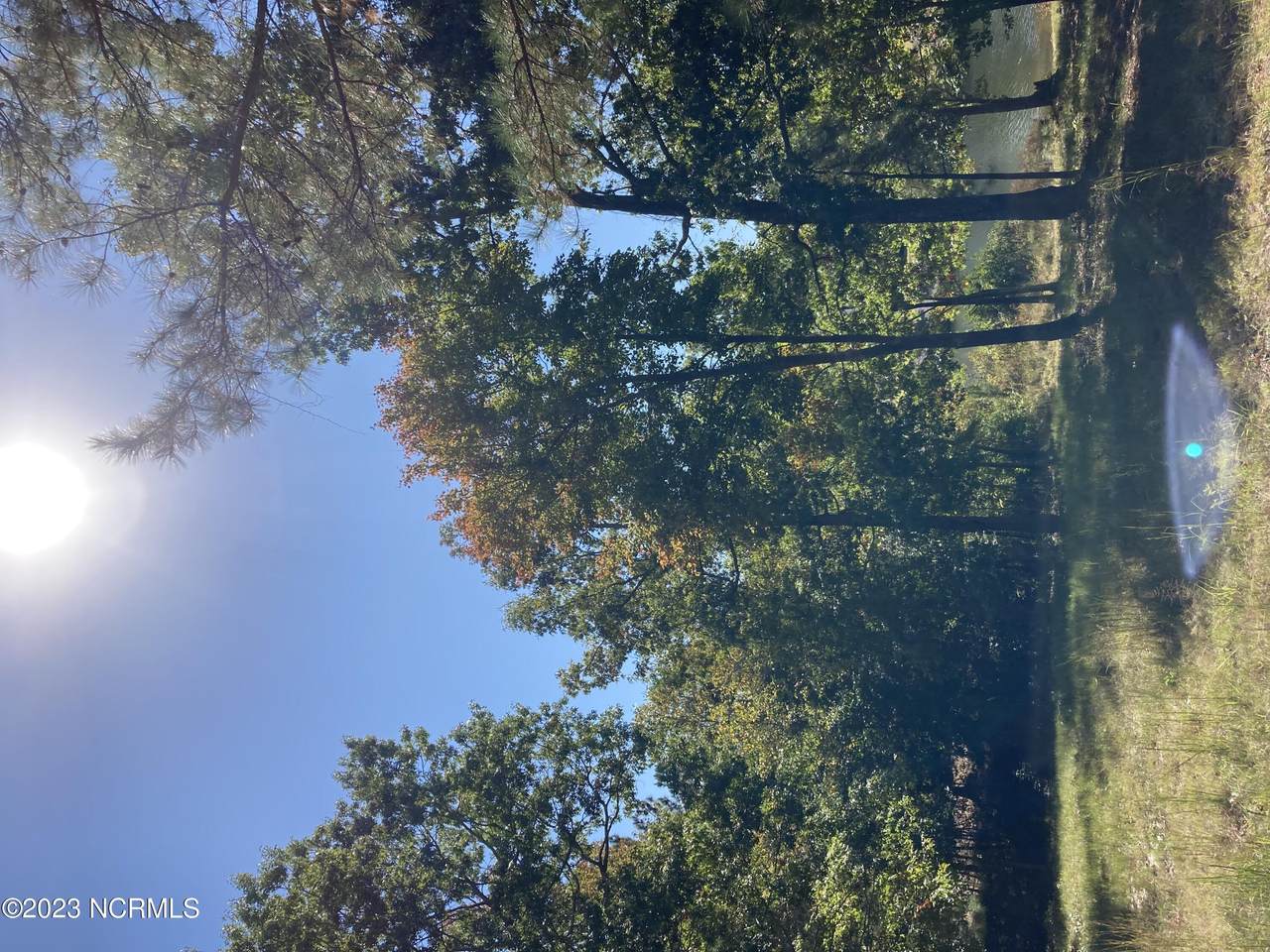 101 Ellens Point - Photo 1