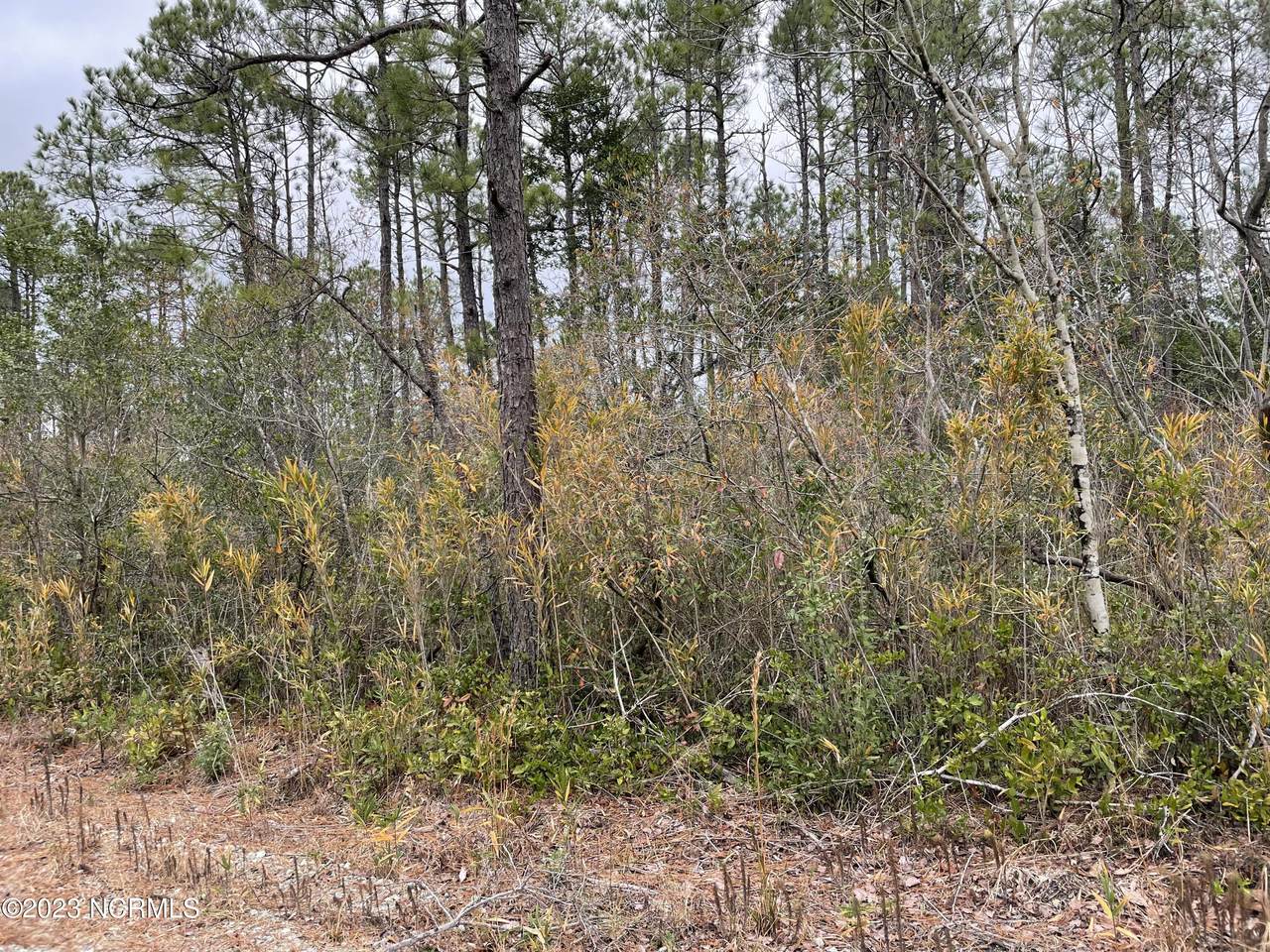 7401 Plantation Road - Photo 1