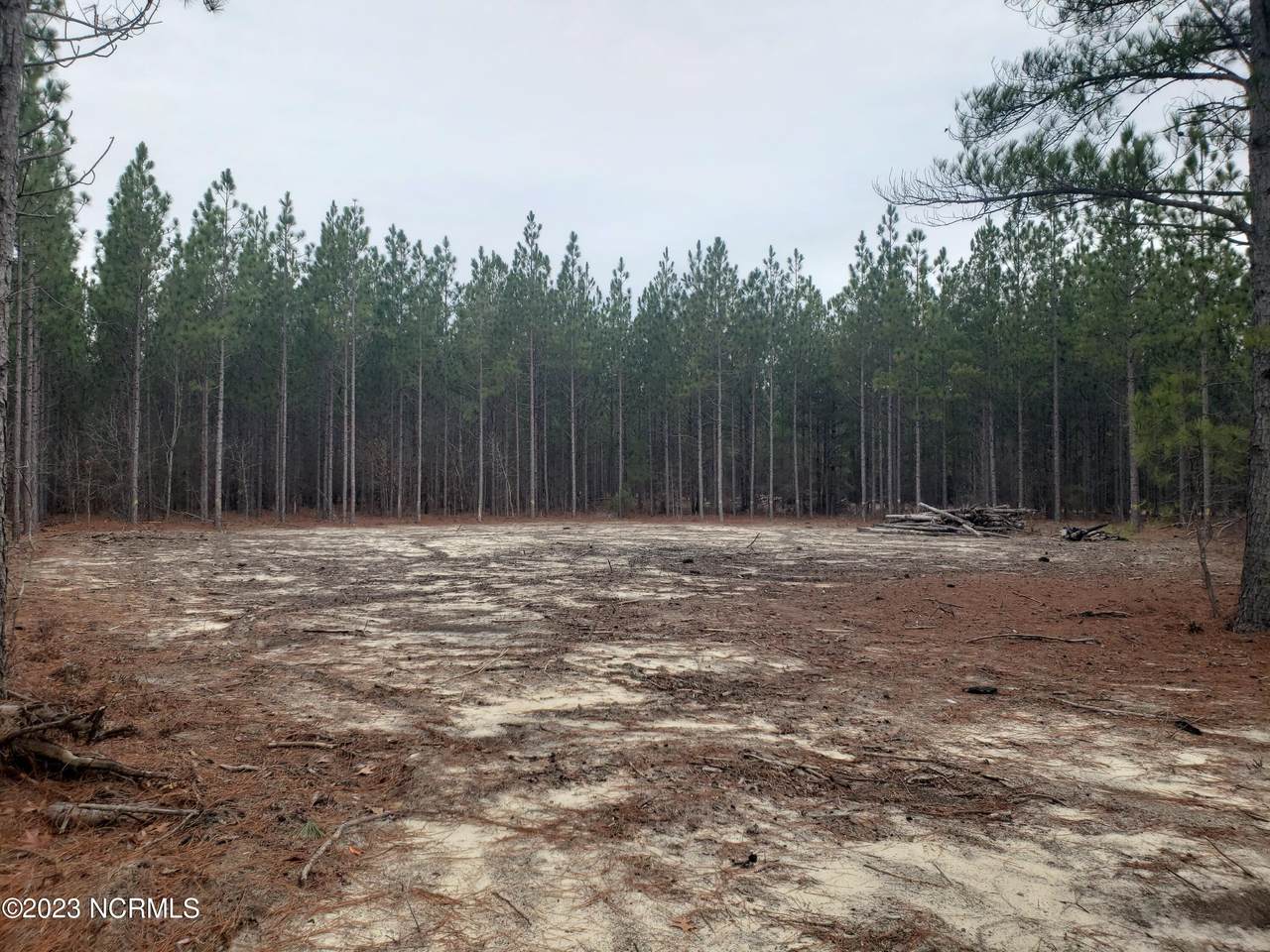 1017 Nighthawk Loop - Photo 1