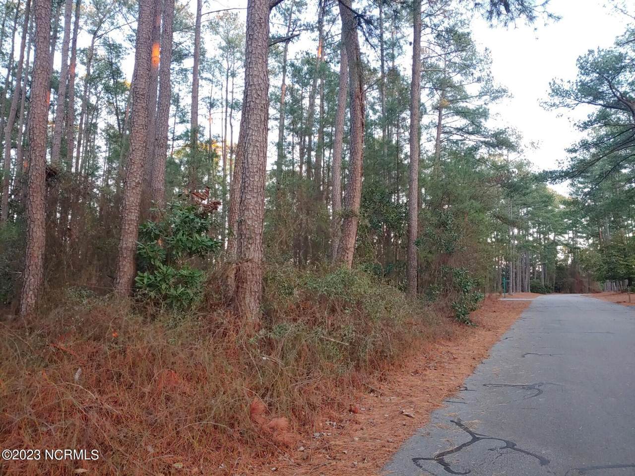 6 Deer Track Road - Photo 1