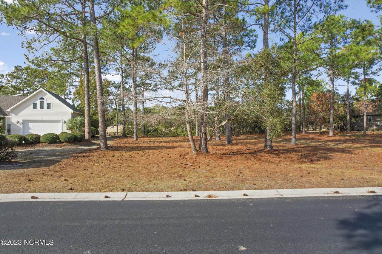 1795 Red Cardinal Lane - Photo 1