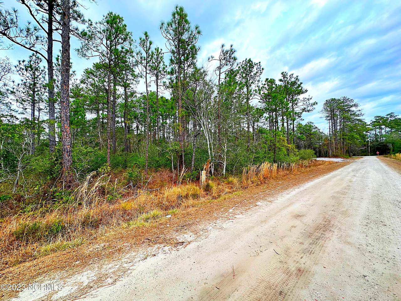 Lot 441 Woodhaven Road - Photo 1