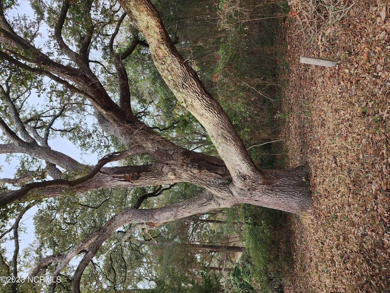 3641 Windy Point Road - Photo 1