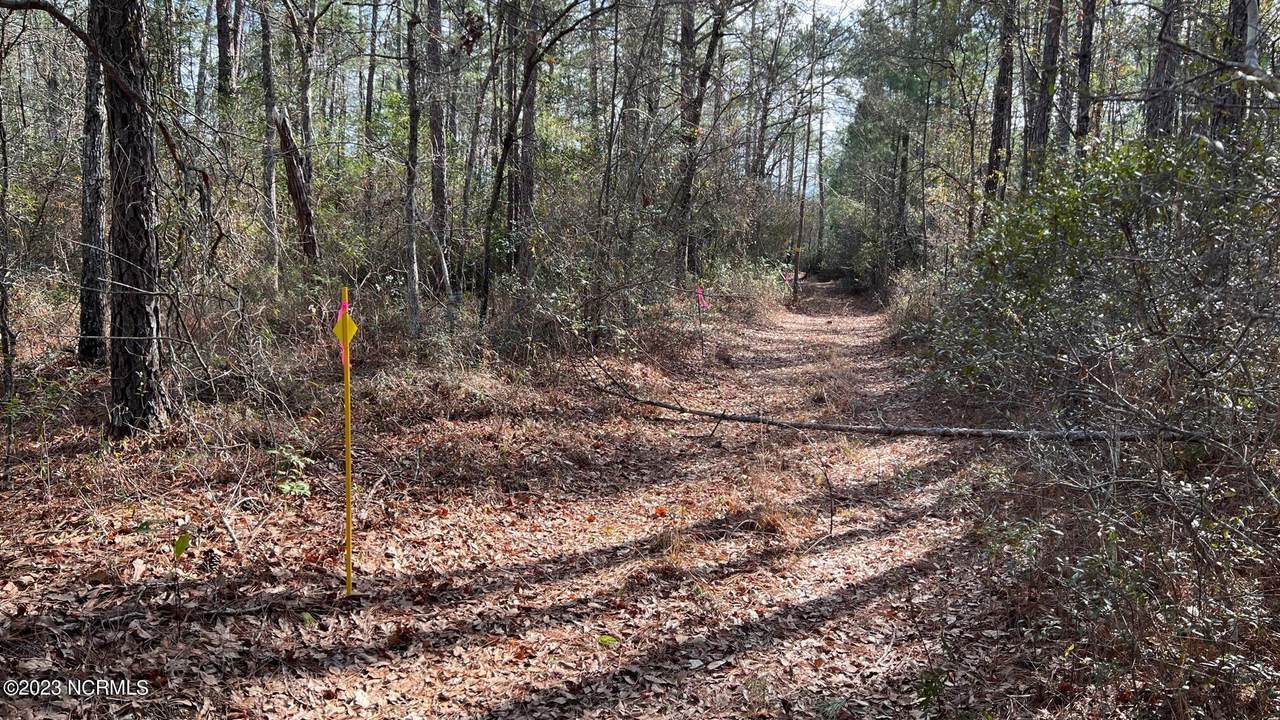 Tr2,3,4 Off Blue Banks Loops Road - Photo 1