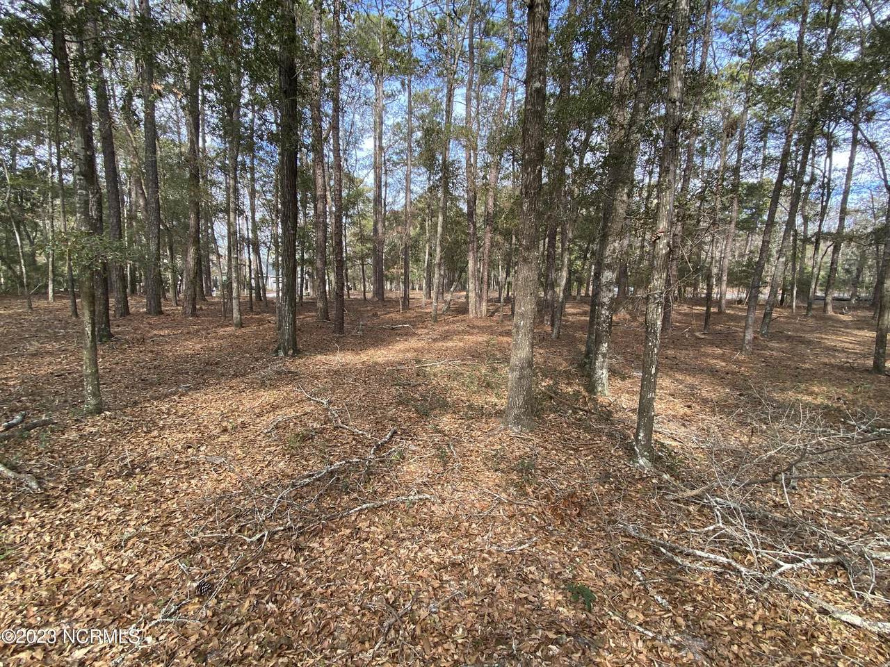 1824 Harbour Edge Lane - Photo 1