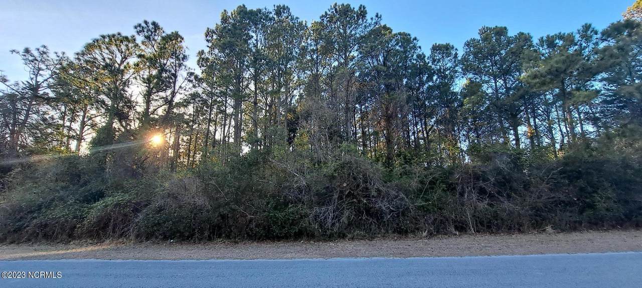 302 Holly Lane - Photo 1