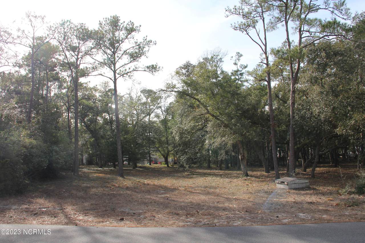 3401 Marlin Drive - Photo 1