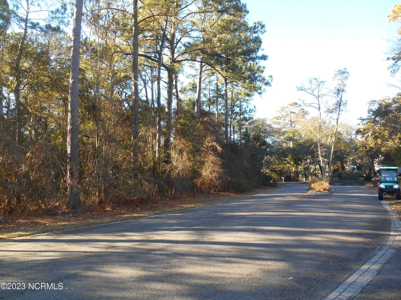 707 Alyssum Avenue - Photo 1